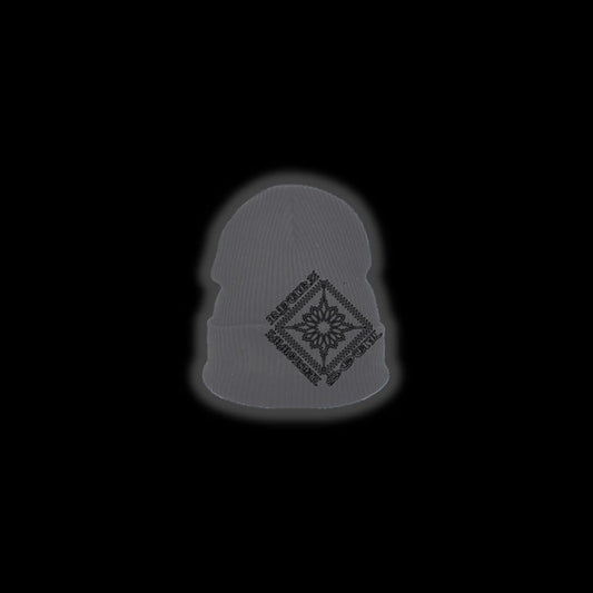 Ryukz Episode 10: Ryukztar Beanie
